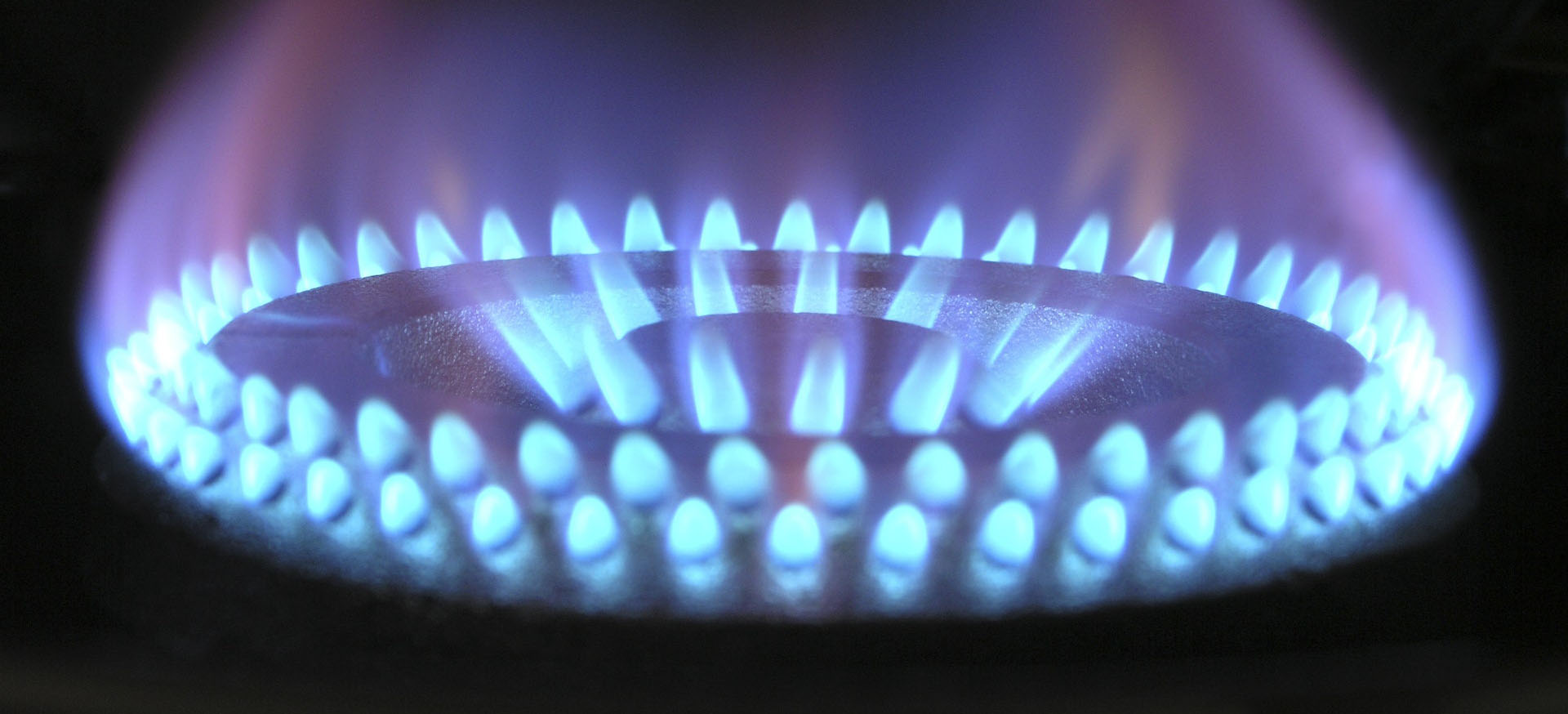 Project Nexus: New UK Link System